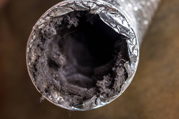 Best Dryer Vent Cleaning Services  in Royal Palm Estates, FL