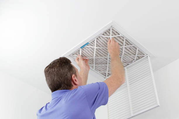 Best Affordable Air Duct Cleaning  in Royal Palm Estates, FL